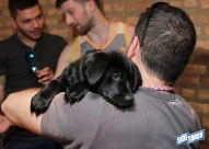 DogDay5.5.18IMG_6509