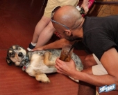 DogDay5.5.18IMG_6609