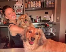 213120674_10158419079664315_1057659066704439548_n