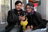 10.22.16DogDayHalloweenIMG_4617