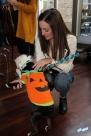 10.22.16DogDayHalloweenIMG_4629