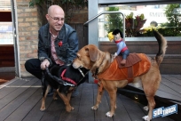 10.22.16DogDayHalloweenIMG_4645