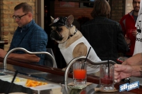 10.22.16DogDayHalloweenIMG_4651