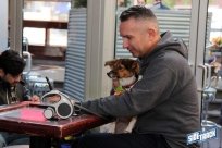 10.22.16DogDayHalloweenIMG_4668