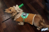 10.22.16DogDayHalloweenIMG_4671