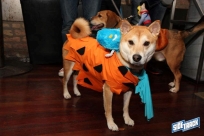 10.22.16DogDayHalloweenIMG_4727