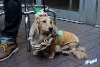 10.22.16DogDayHalloweenIMG_4746