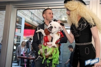 10.22.16DogDayHalloweenIMG_4788