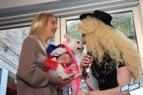 10.22.16DogDayHalloweenIMG_4839