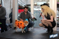 10.22.16DogDayHalloweenIMG_4843