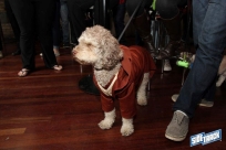 10.22.16DogDayHalloweenIMG_4858