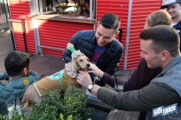 10.22.16DogDayHalloweenIMG_4954