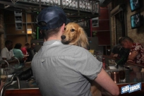 6.4.16dogdaysIMG_8185