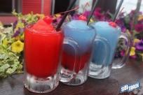 6.4.16dogdaysIMG_8283