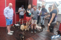 6.4.16dogdaysIMG_8319