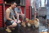 6.4.16dogdaysIMG_8322