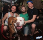 6.4.16dogdaysIMG_8429