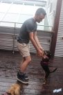 6.4.16dogdaysIMG_8437