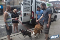 6.4.16dogdaysIMG_8457