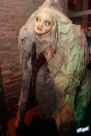 10.31.16HalloweenIMG_6131