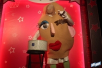 IMG_981610.22.15n100dq