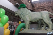 3.12.16stpatsIMG_4568