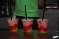 3.12.16stpatsIMG_4651